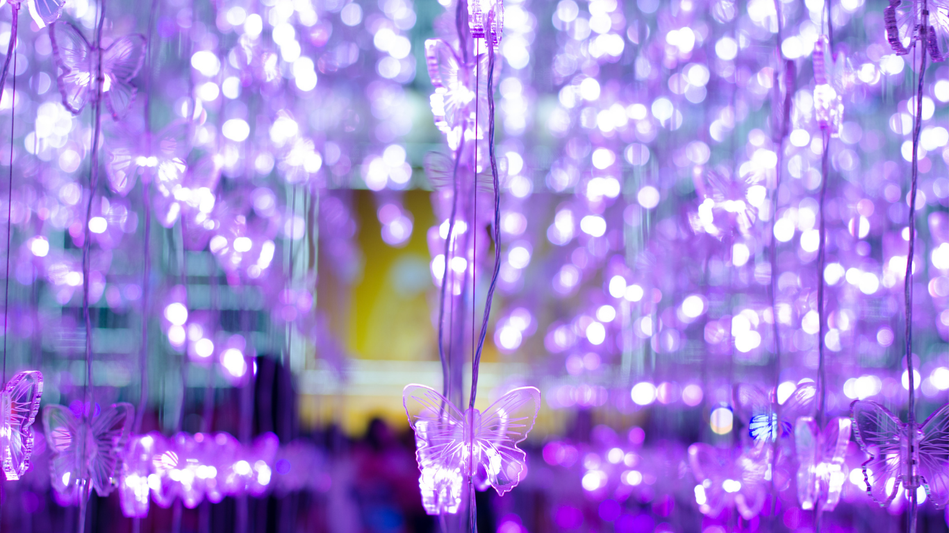 Lumicry acrylic display showcase